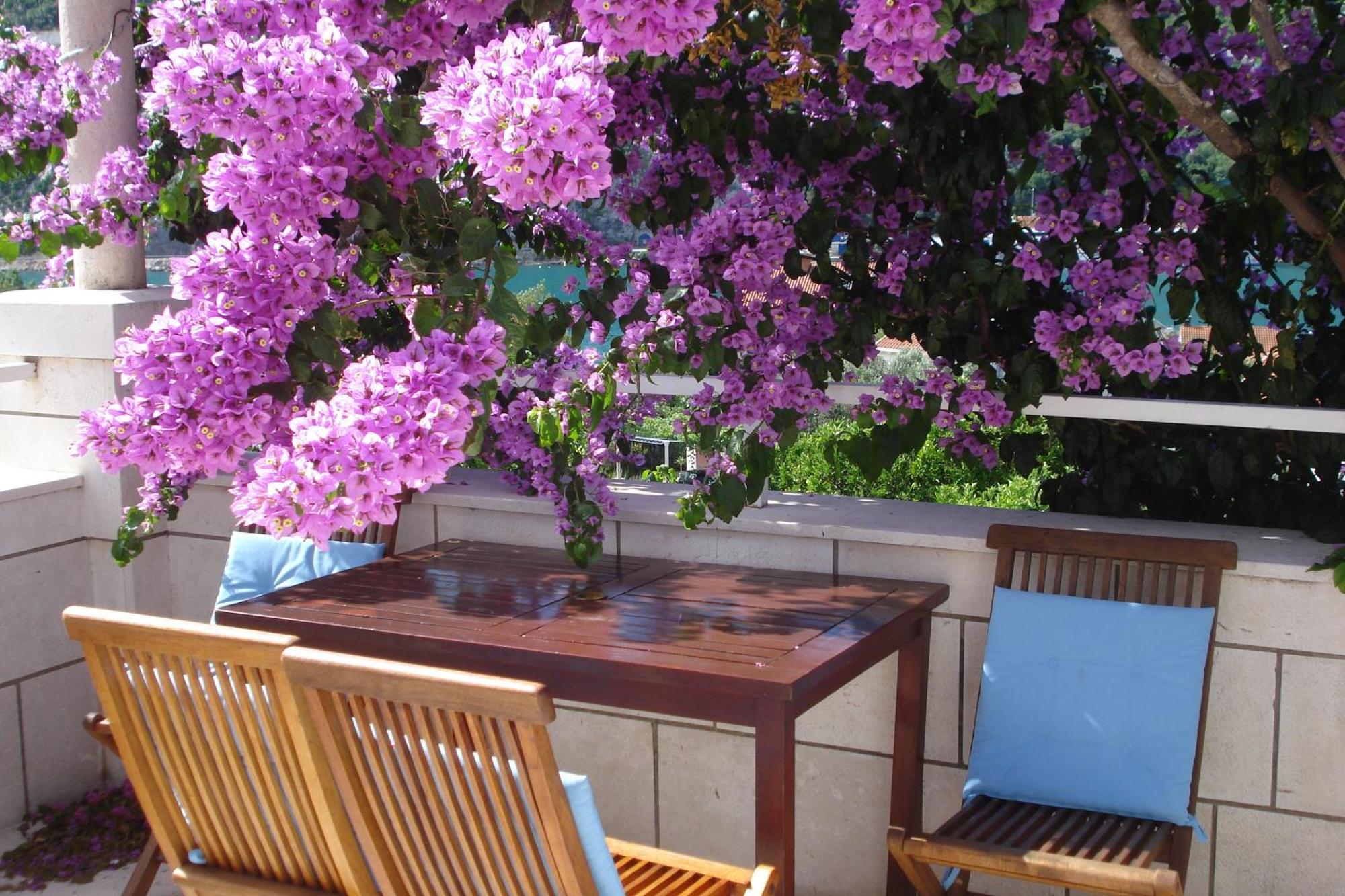 Apartments Husanovic Мокошиця Екстер'єр фото