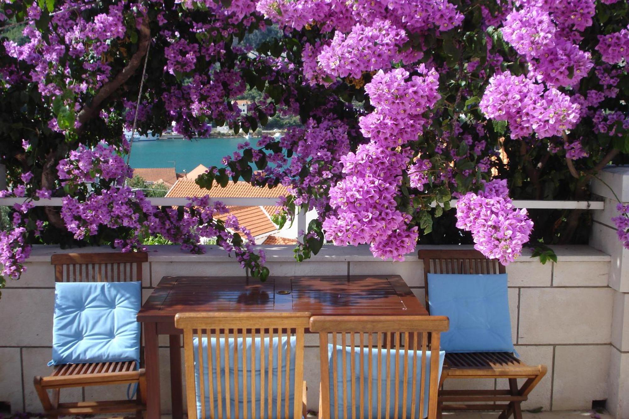 Apartments Husanovic Мокошиця Екстер'єр фото